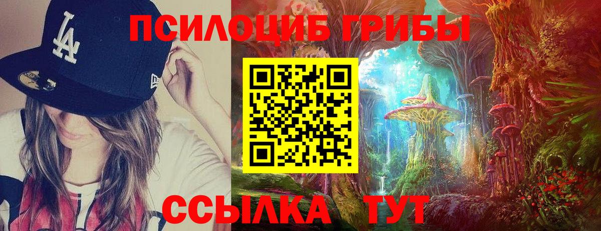 Светлоград  Псилоцибиновые грибы MAGIC MUSHROOMS  Вход с VPN 